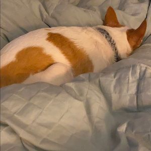 Meet your Posher, Laura